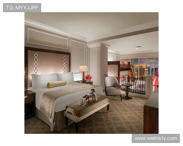 澳门巴黎人住宿推荐:豪华酒店与性价比最佳选择分析 澳门巴黎人住宿推荐:豪华酒店与性价比最佳选择分析