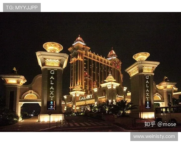 新濠国际发展官网提供详细的公司介绍、发展历程及未来规划，了解企业实力与发展方向