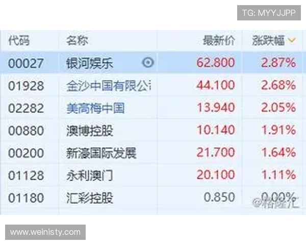 澳门博彩娱乐有限公司：全面解析其发展历程与行业地位的深度报道