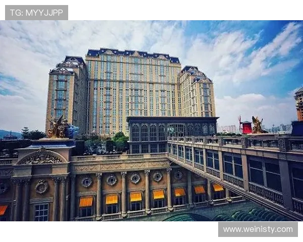 澳门巴黎人电脑版官网详细介绍游戏玩法技巧与新手入门指南帮助玩家快速上手